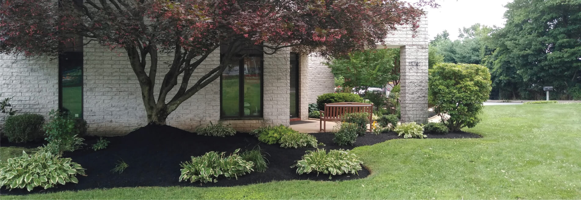 COMMERCIAL LANDSCAPING & LAWN MAINTENANCE